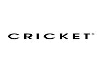 Cricket