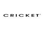 Cricket