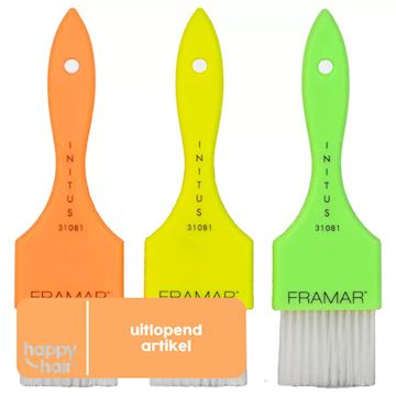 FRAMAR VERFKWAST POWER PAINTER 3st (NEON)*