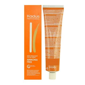 KADUS DEMI COLOR SPOELING 60ml 2/0