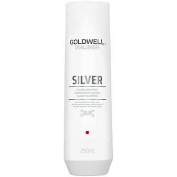 GOLDWELL CARE DS SILVER SHAMPOO 250ml