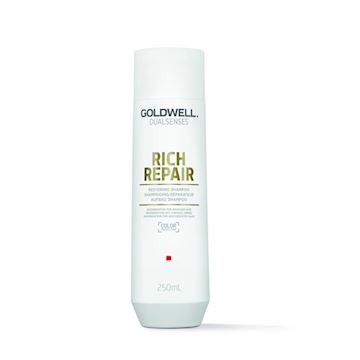 GOLDWELL CARE DS RICH REPAIR RESTORING SHAMPOO 250ml